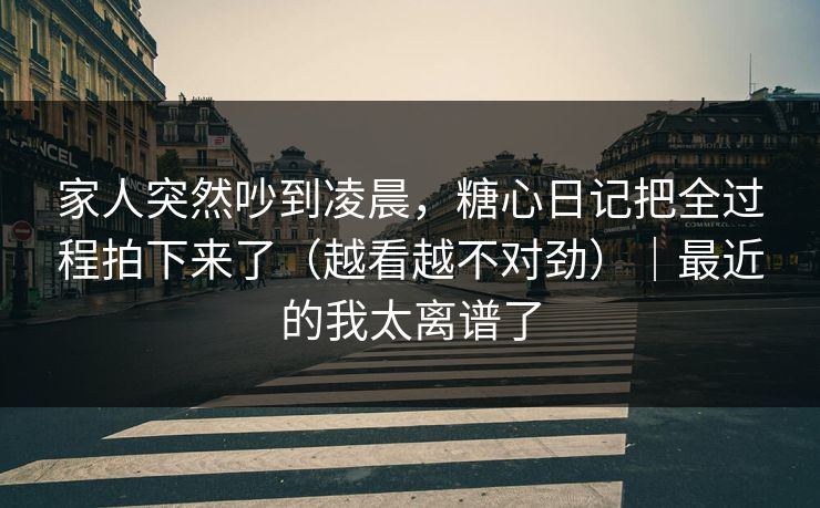 家人突然吵到凌晨，糖心日记把全过程拍下来了（越看越不对劲）｜最近的我太离谱了